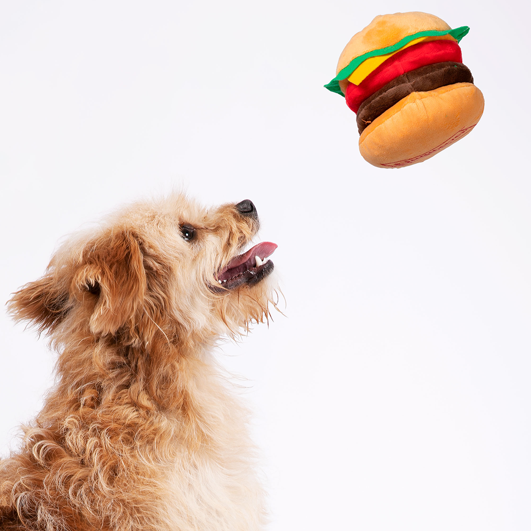Burger 2024 dog toy