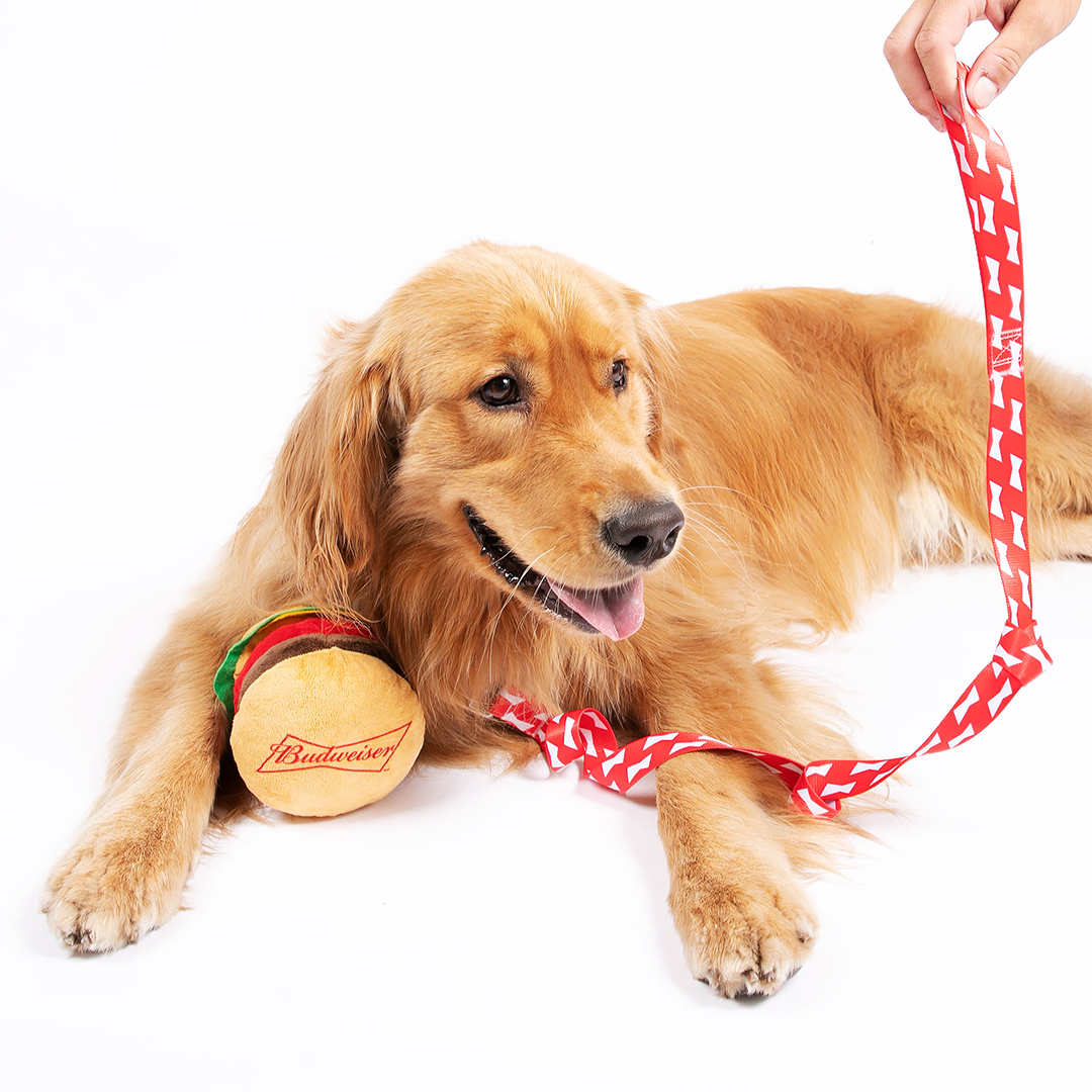 Bud light dog clearance collar