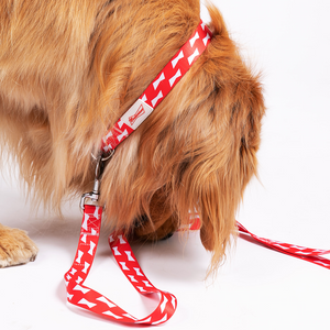 COLLIER BON CHIEN