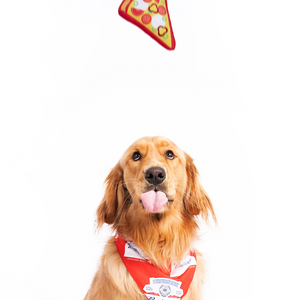 JOUET POUR CHIEN BUD ET PIZZA