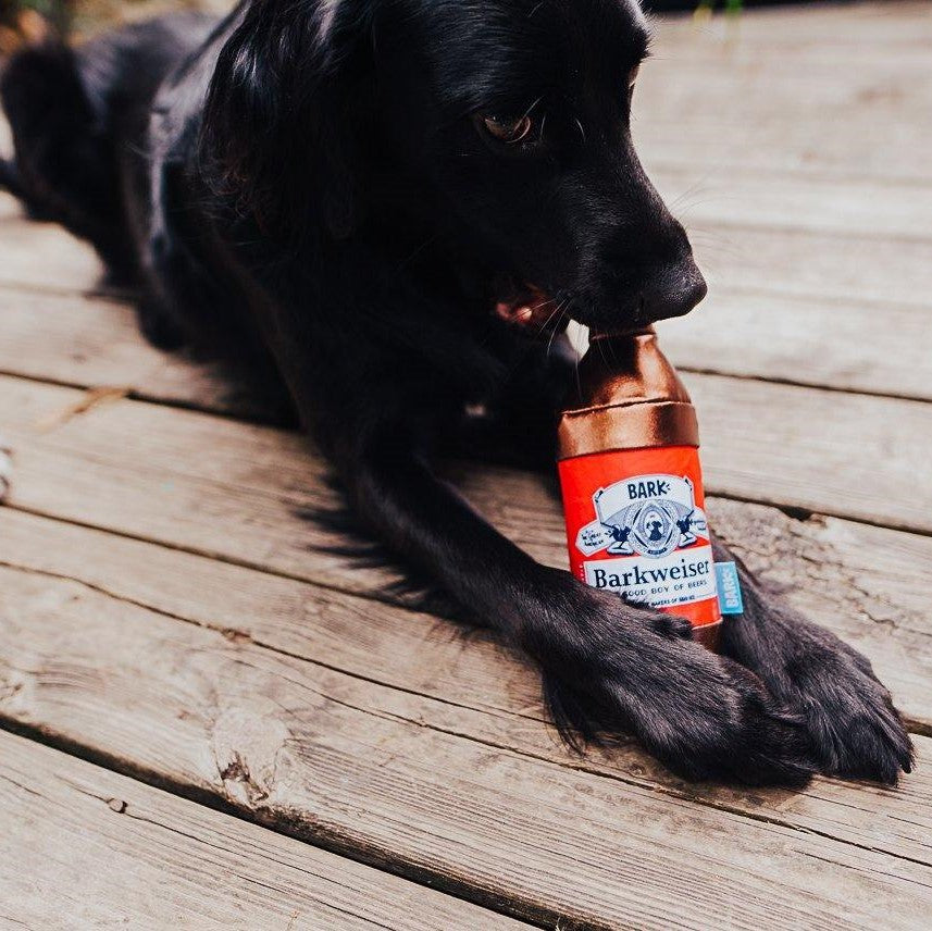 Dog bottle best sale toy