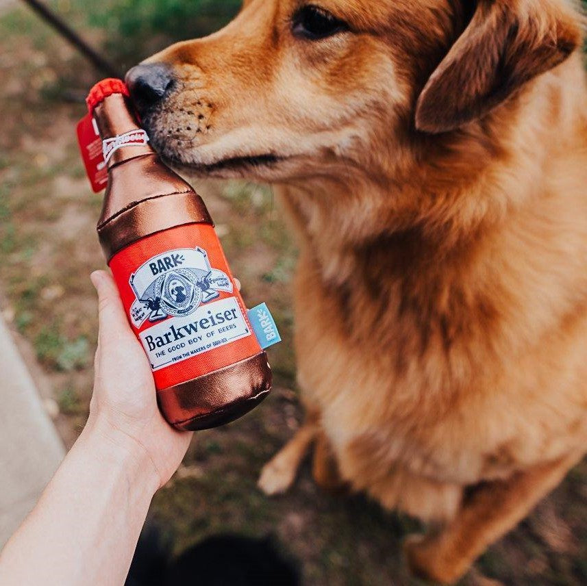Dog bottle toy sale