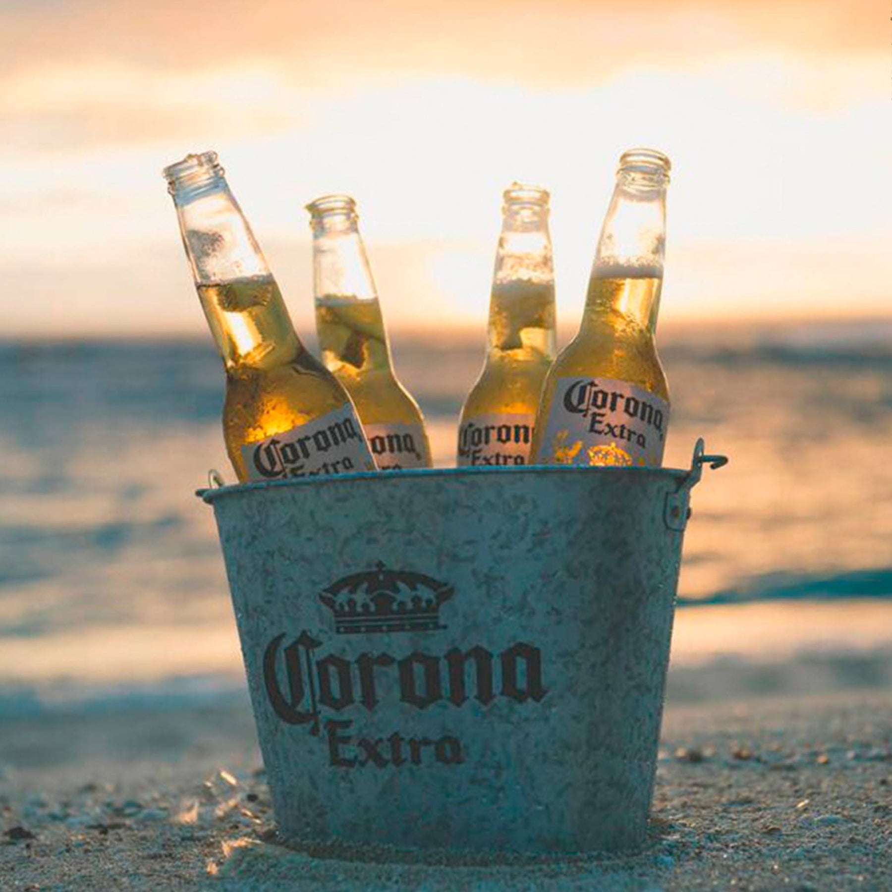 Beer buckets store near me